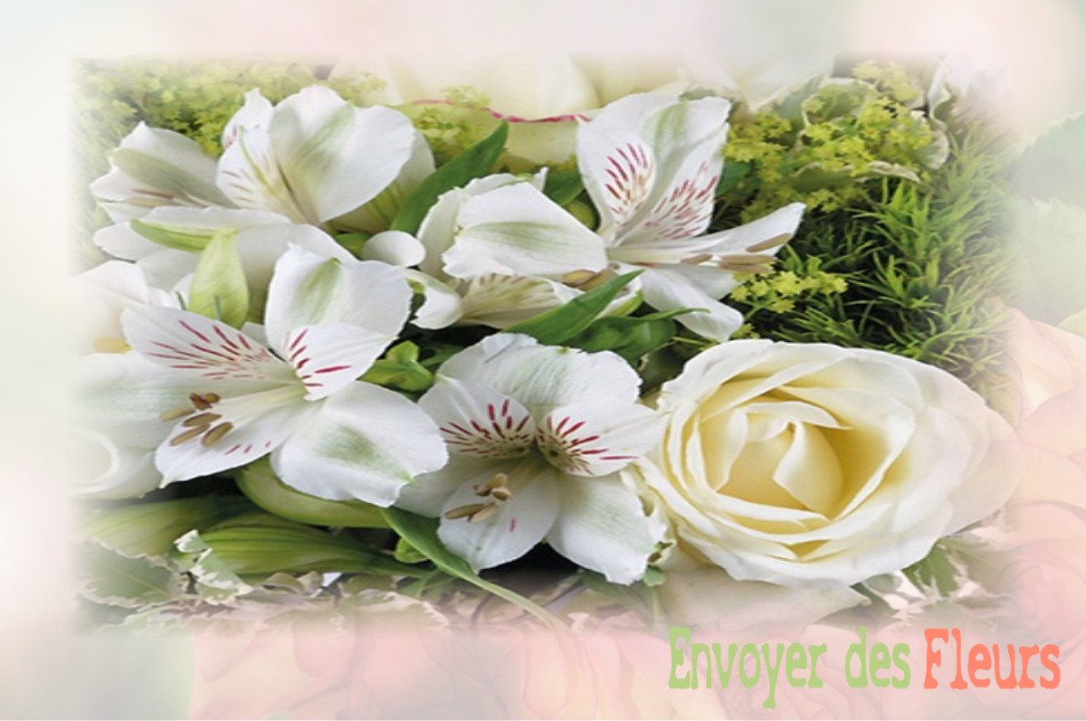 envoyer des fleurs à à VILLERS-SAINT-GENEST